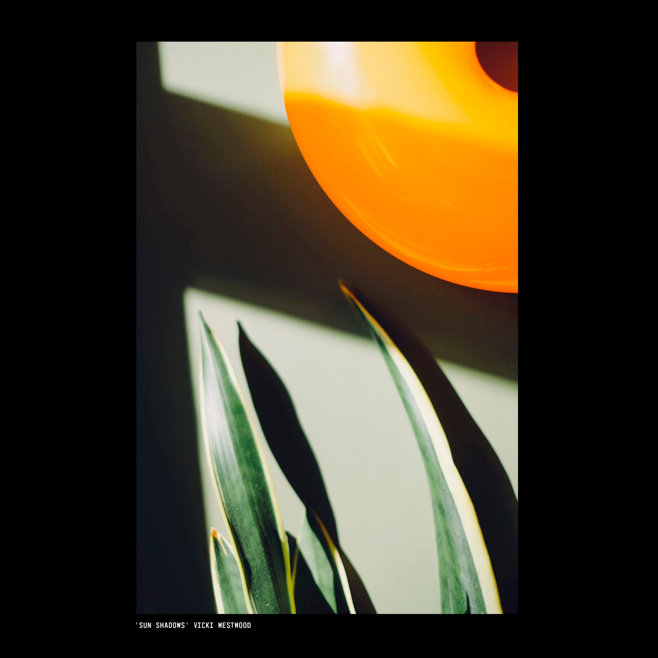 Sun Shadows